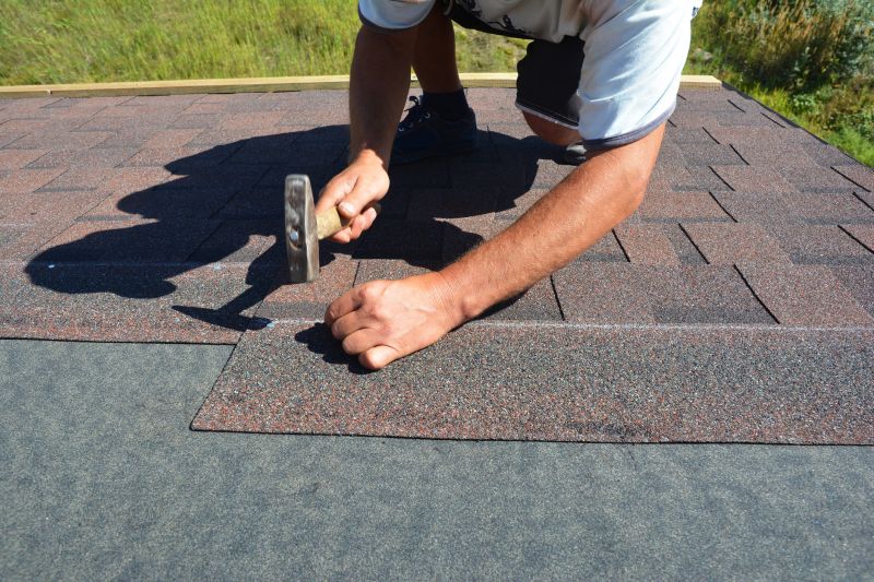Repaired Asphalt Roof